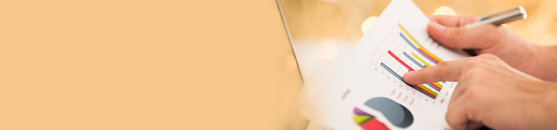 Alternate Investment Plan