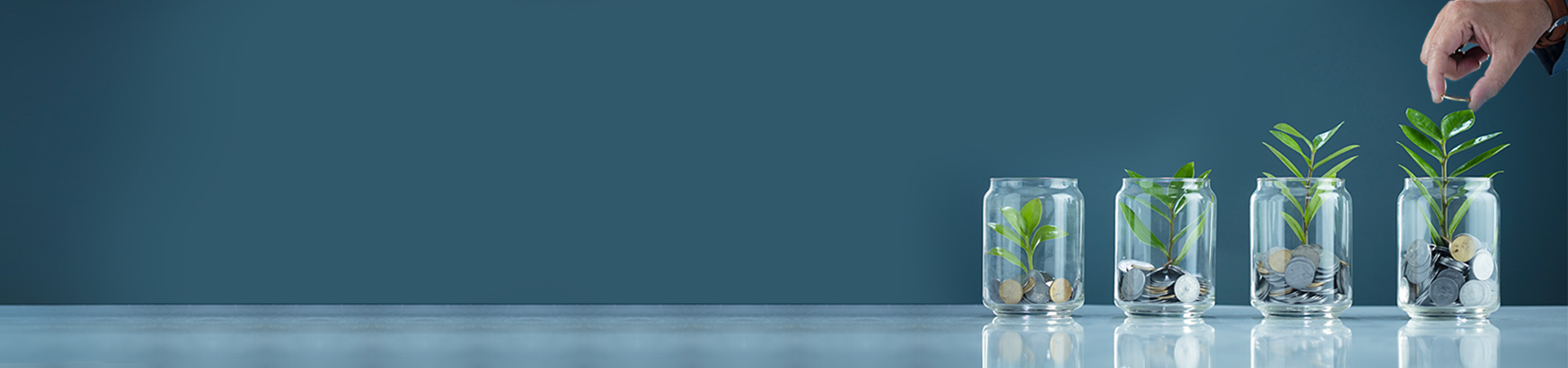 Indus Deposit Plus Account