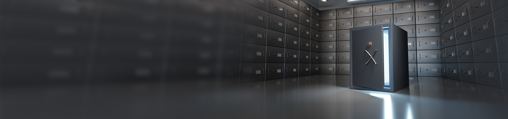 Safe Deposit Lockers Services - IndusInd Bank