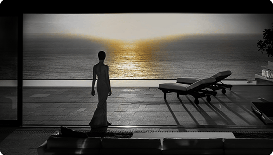 Estate Planning and Family Business Succession Planning