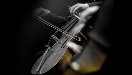 Estate Planning and Family Business Succession Planning