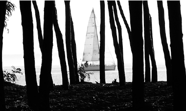 Pioneer Travel Offers