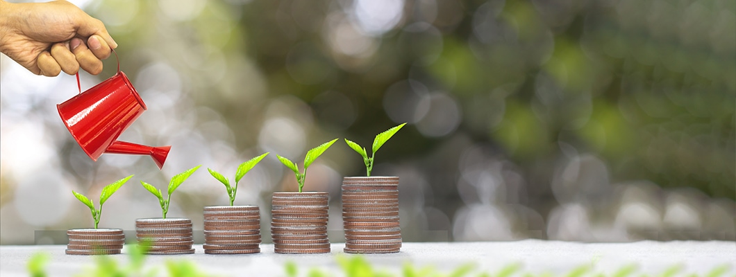 Hand watering plants growing on coin stacks, symbolizing Fixed Deposit Maturity Process. Explore IndusInd Bank Fixed Deposit to grow your wealth securely over time.